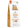 Image de Brit Care Hypoallergenic Junior Large Breed agneau, riz pour chien - 12 kg