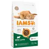 Image de 3kg Adult IAMS for Vitality agneau pour chat