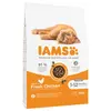 Image de 10kg Kitten IAMS for Vitality poulet pour chaton