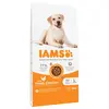 Image de 12kg IAMS Advanced Nutrition Adult Large poulet pour chien
