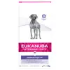 Image de 12kg Dermatosis FP Veterinary Diets Eukanuba Croquettes pour chien