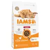 Image de 3kg Adult Indoor IAMS for Vitality poulet pour chat
