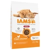 Image de 10kg Adult Indoor IAMS for Vitality poulet pour chat