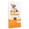 Image de 12kg IAMS Advanced Nutrition Senior Large 7+ poulet - Croquettes pour chien