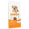 Image de IAMS Advanced Nutrition Puppy Large poulet pour chiot - 12 kg