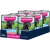 Image de 6x400g Eukanuba Senior Riche en Truite avec Patate douce Nourriture pour chiens