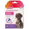 Image de 3x1ml beaphar CaniComfort Spot-On bien-être chien