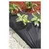 Image de Nature Film de couverture de sol 1 x 10 m Noir 6030228