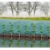 Image de Toile De Paillage Paysages - Vert 90 Gr/MÂ² - 2x5m