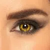 Image de lentilles 7 jours twilight - 40115