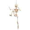 Image de DÃ©coration articulÃ©e squelette 50 cm Halloween Taille Unique
