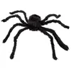 Image de araignee velue noire 70cm - 74394
