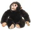 Image de Peluche ChimpanzÃ© 23 Cm Wwf