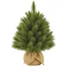 Image de Triumph Tree Forest Frosted Sapin de Noël Artificiel avec toile de jute - H45 x Ø36 cm - Vert