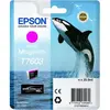 Image de Cartouche Epson Orque T7603 Ultrachrome Vivid Magenta