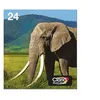 Image de Epson 24 Multipack Easy Mail Packaging - pack de 6 - noir, jaune, cyan, magenta, magenta clair, cyan clair - originale - cartouche d'encre