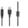 Image de Cablexpert CCF-USB2-AMBM-6 - câble USB - 1.8 m