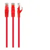 Image de Cablexpert - Cordon de raccordement - RJ-45 (M) pour RJ-45 (M) - 1 m - UTP - CAT 6 - moulé, bloqué - rouge