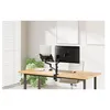 Image de Neomounts DS20-425BL2 - Kit de montage (fixation par pince pour bureau, passe-fil de bureau, plateau pour ordinateur portable, bras pour moniteur, adaptateur VESA, bras de plateau d'ordinateur portable) - bras réglable en mouvement complet - pour écran