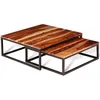 Image de vidaXL Ensemble de table basse gigogne 2 pcs Bois massif de Sesham