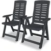 Image de vidaXL Chaises inclinables de jardin lot de 2 Plastique Anthracite43897