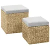 Image de vidaXL Repose-pied lot de 2 Jacinthe d'eau Gris246109