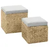 Image de Repose-Pied 2 Pcs Jacinthe D'eau Gris