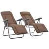 Image de Vidaxl Chaises Pliables De Jardin Avec Coussins 2 Pcs Marron