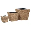 Image de vidaXL Lits surélevés 3 pcs Jacinthe d'eau45571