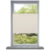 Image de Vidaxl Store PlissÃ© 60x125 Cm CrÃ¨me