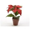 Image de SILK POINSETTIA IN POT, COLOUR: CHRISTMAS RED, SIZE: DIA30X27CM KAEMIN