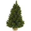 Image de Triumph Tree Camden Sapin de Noël Artificiel avec toile de jute - H60 x Ø43 cm - Vert