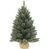 Image de Triumph Tree Forest Frosted Sapin de Noël Artificiel avec toile de jute - H60 x Ø46 cm - Bleu