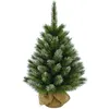 Image de Triumph Tree Pittsburgh Sapin de Noël Artificiel avec toile de jute - H90 x Ø56 cm - Vert givré