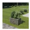 Image de vidaXL Lit surélevé à gabion Acier galvanisé 90x50x50 cm143569