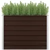 Image de vidaXL Lit surélevé de jardin Marron 100x40x77 cm Acier galvanisé
