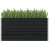 Image de vidaXL Jardinière Surélevée Anthracite 160x80x77 Cm Acier Galvanisé