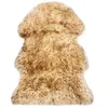 Image de vidaXL Tapis en peau de mouton 60 x 90 cm Mélange de marron