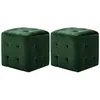 Image de vidaXL 2 Pcs Poufs Vert 30 X 30 X 30 Cm Tissu Velours