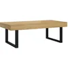 Image de vidaXL Vidaxl Table Basse Marron Clair Et Noir 120x60x40 Cm Mdf Et Fer