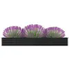 Image de vidaXL Lit surélevé de jardin Acier galvanisé 320x40x45 cm Anthracite