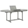 Image de vidaXL Vidaxl Table De Jardin Gris 200x100x75 Cm Bois D'acacia Massif