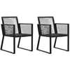 Image de vidaXL Chaises de jardin lot de 2 Noir Rotin PVC48572