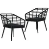 Image de Vidaxl Chaises De Jardin Lot De 2 Avec Coussins RÃ©sine TressÃ©e Noir