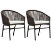 Image de vidaXL Chaises de jardin lot de 2 Marron Rotin PE48136