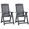 Image de vidaXL Chaises inclinables de jardin lot de 2 Plastique Anthracite48768