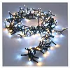 Image de Guirlande lumineuse LED Blanc (14 m)