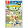 Image de Castaway Paradise Destination Vacances Nintendo Switch