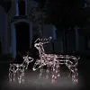 Image de vidaXL Cordon lumineux de Noël 3 pcs Rennes 229 LED289962
