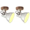 Image de vidaXL Lampe murale industrielle/plafonnier 2 pcs Argenté 20x25 cm E27